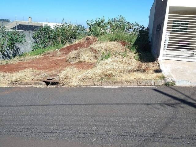 Terreno para Venda em Arapongas - 1