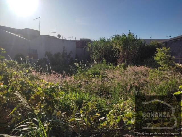 Terreno para Venda em Arapongas - 3