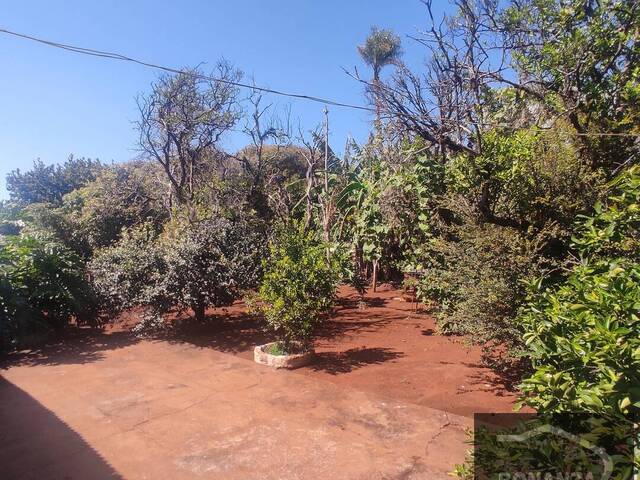 Terreno para Venda em Arapongas - 2