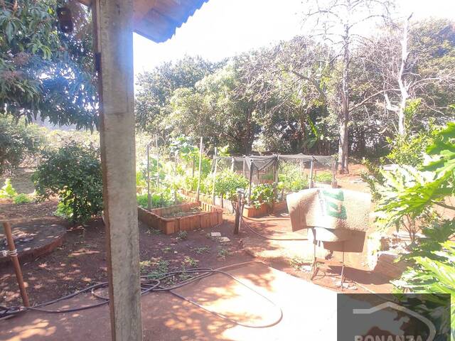 Terreno para Venda em Arapongas - 3