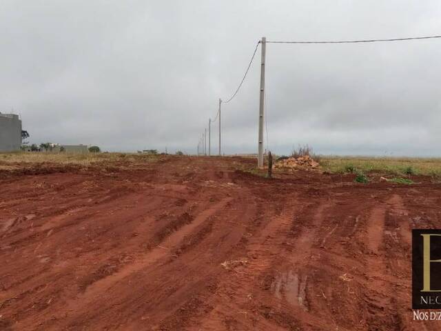 Terreno para Venda em Arapongas - 3