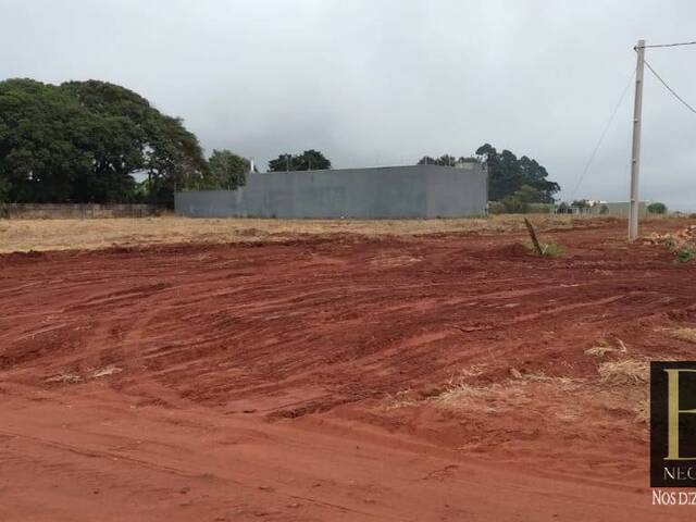 Terreno para Venda em Arapongas - 2