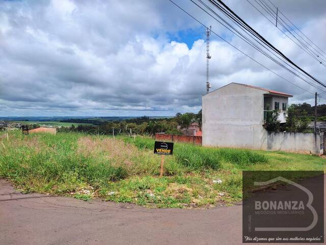 #8792 - Terreno para Venda em Arapongas - PR - 1