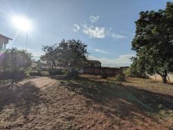 Casa para Locação em Arapongas - 5