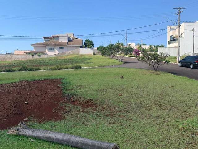 #9614 - Terreno para Venda em Arapongas - PR - 1