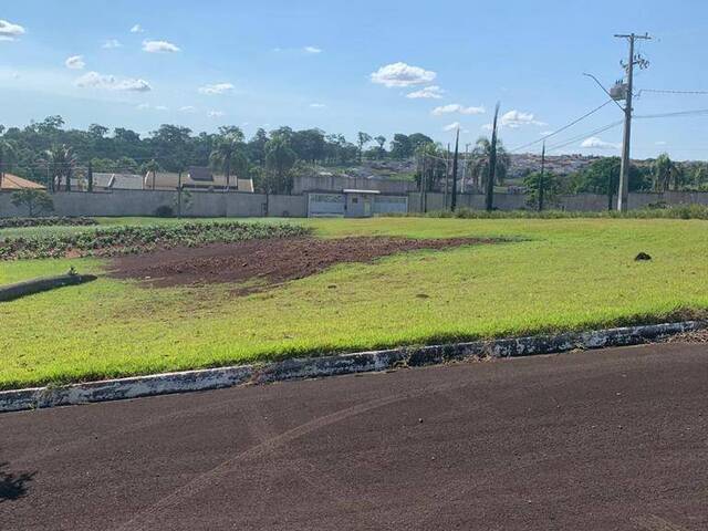 #9614 - Terreno para Venda em Arapongas - PR - 2