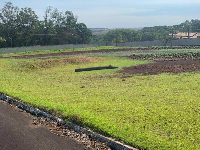 #9614 - Terreno para Venda em Arapongas - PR - 3